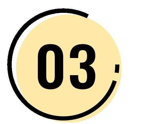 no3
