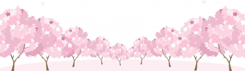 sakura20260406