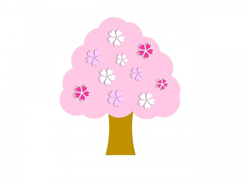 sakuranoki