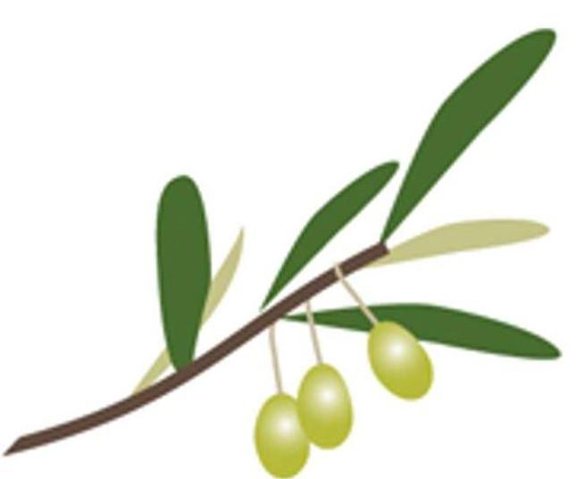 shokushu tree