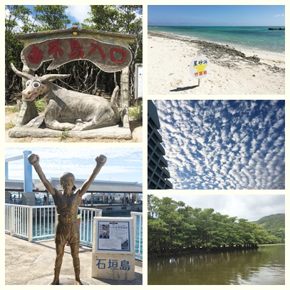 syakyou shoutairyokou1 2016