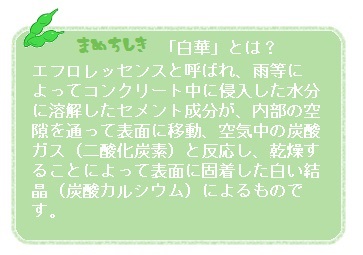touyoukougyou manetisiki1 20180809